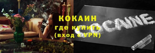 винт Нея