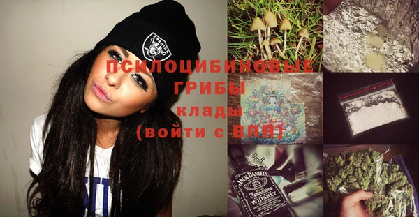 винт Нея